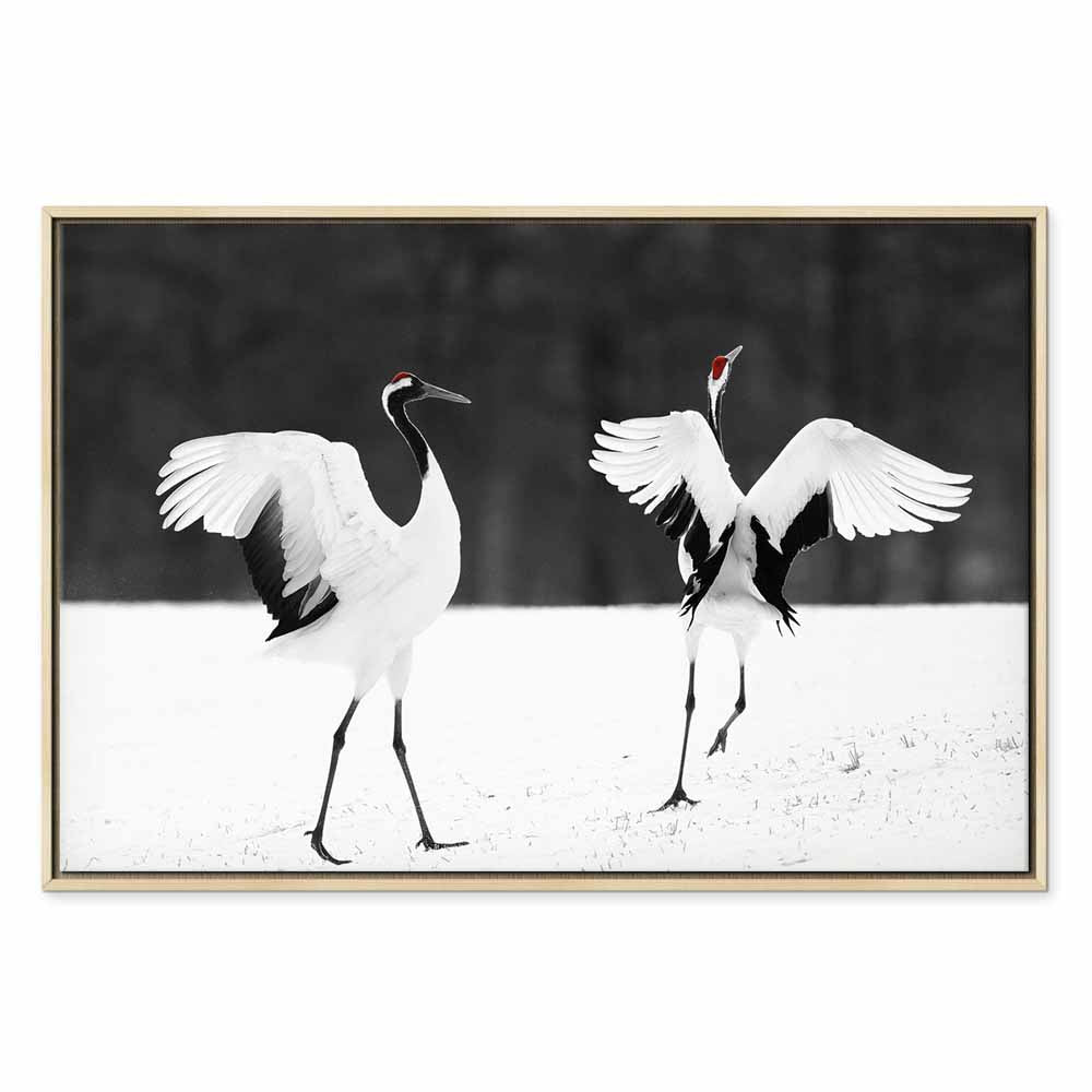 Dancing Cranes Winter Canvas Print