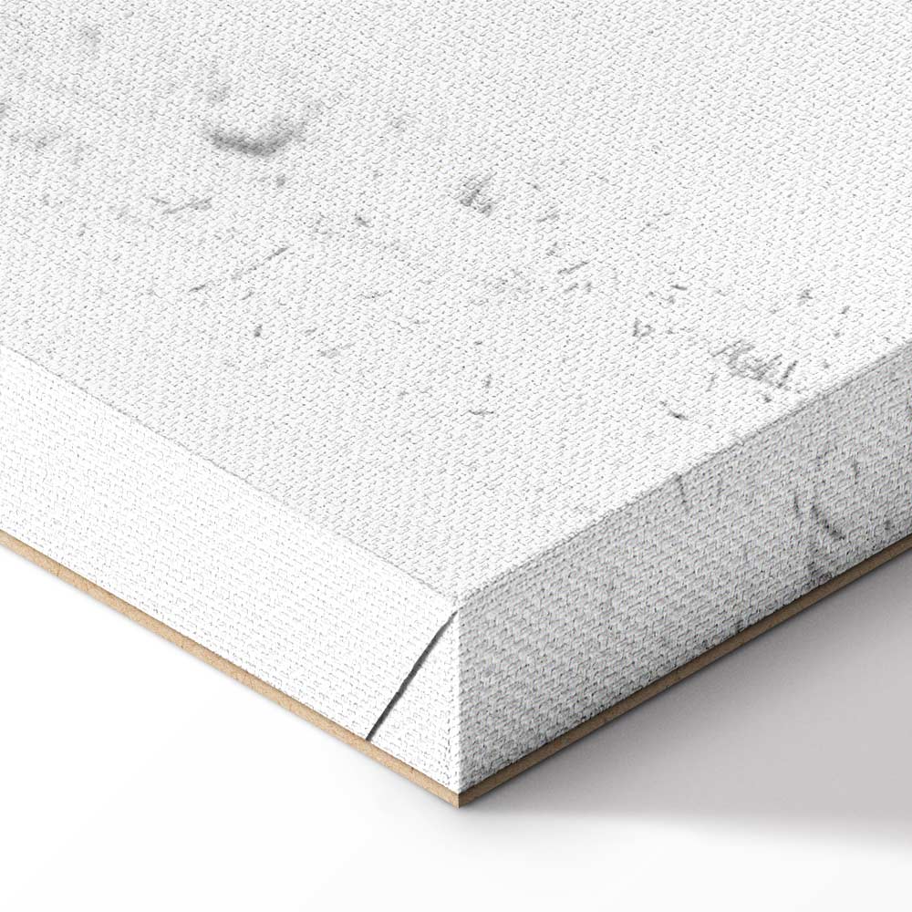 Dancing Cranes Winter Canvas Print