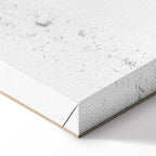 Dancing Cranes Winter Canvas Print