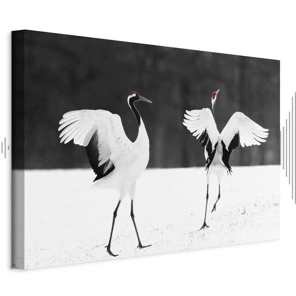 Dancing Cranes Winter Canvas Print