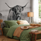 Highland Cattle Photo Wall Mural