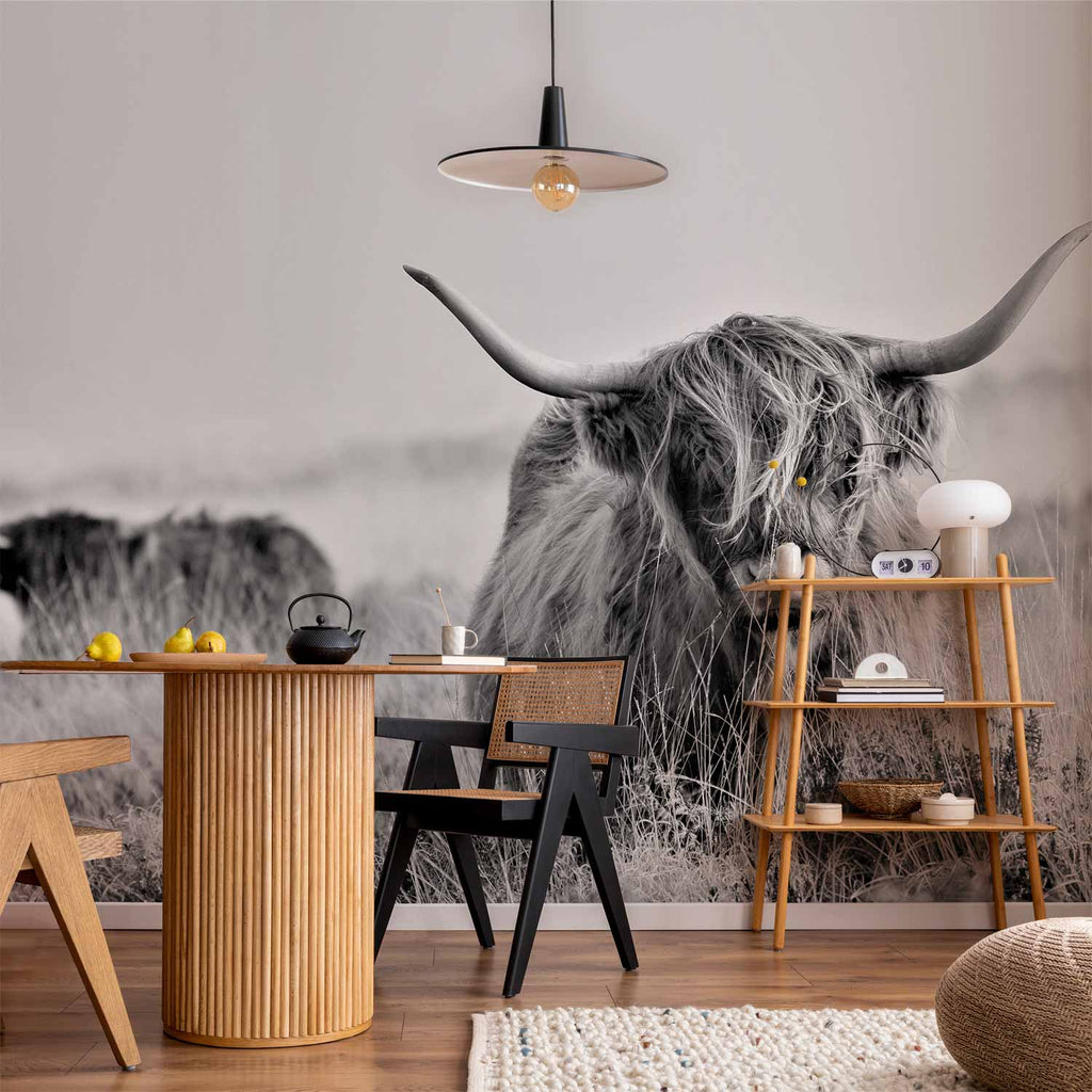 Highland Cattle Photo Wall Mural