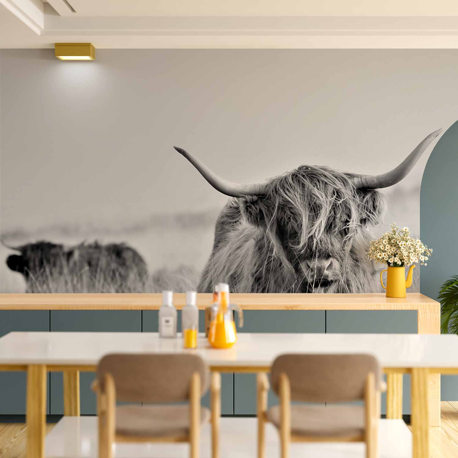 Highland Cattle Photo Wall Mural
