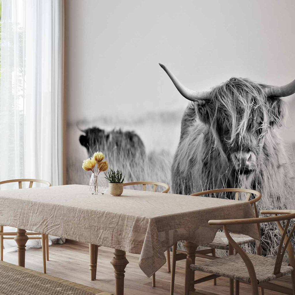 Highland Cattle Photo Wall Mural