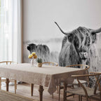 Highland Cattle Photo Wall Mural