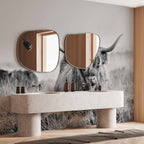 Highland Cattle Photo Wall Mural