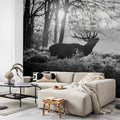 Deers in Morning Forest Nature Wall Mural