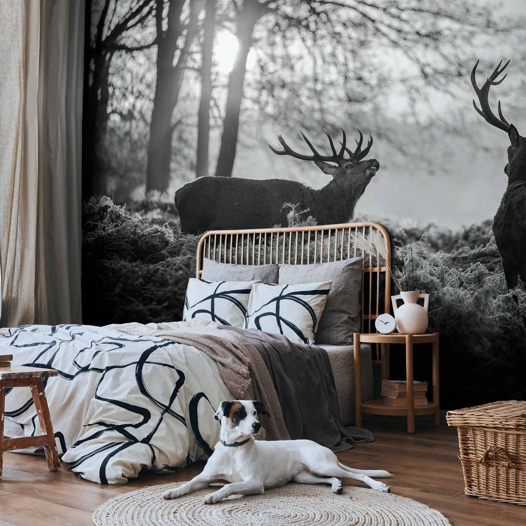 Deers in Morning Forest Nature Wall Mural