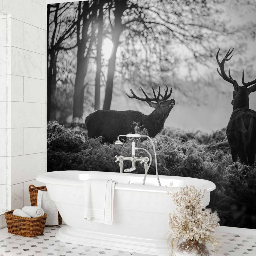 Deers in Morning Forest Nature Wall Mural