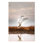 Autumn Lake Birds Nature Canvas Print