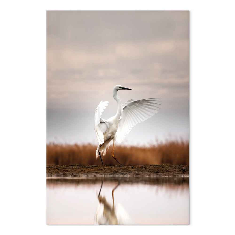 Autumn Lake Birds Nature Canvas Print