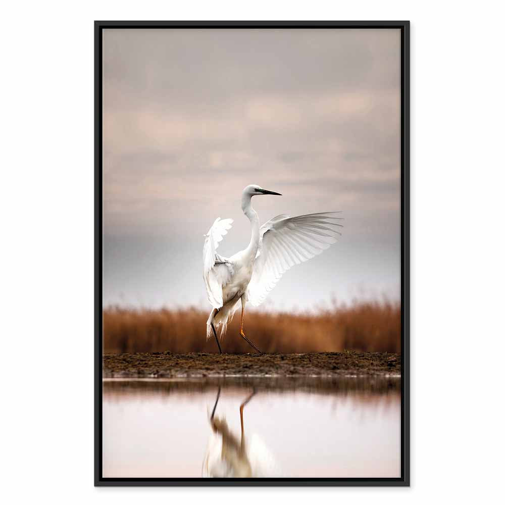 Autumn Lake Birds Nature Canvas Print