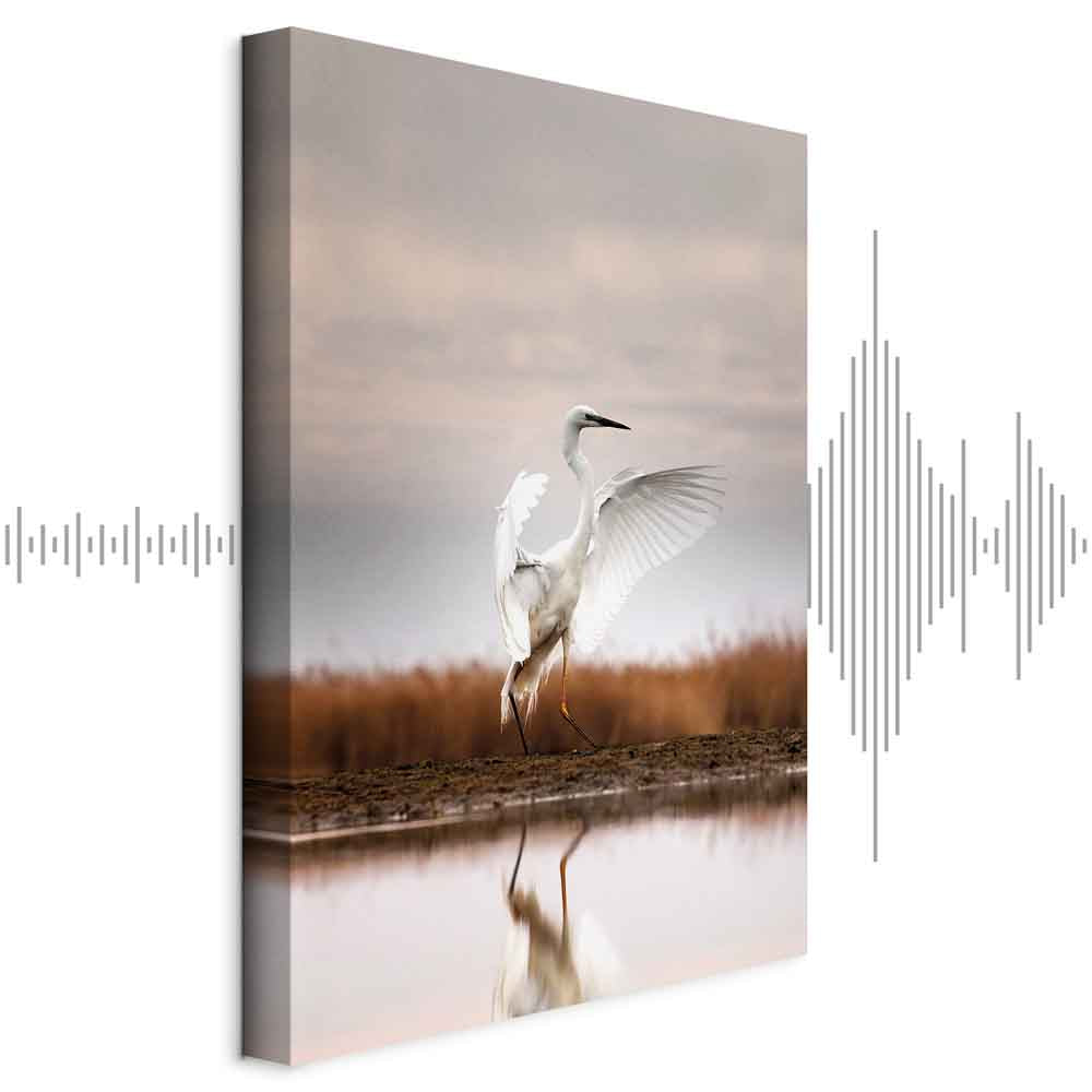 Autumn Lake Birds Nature Canvas Print