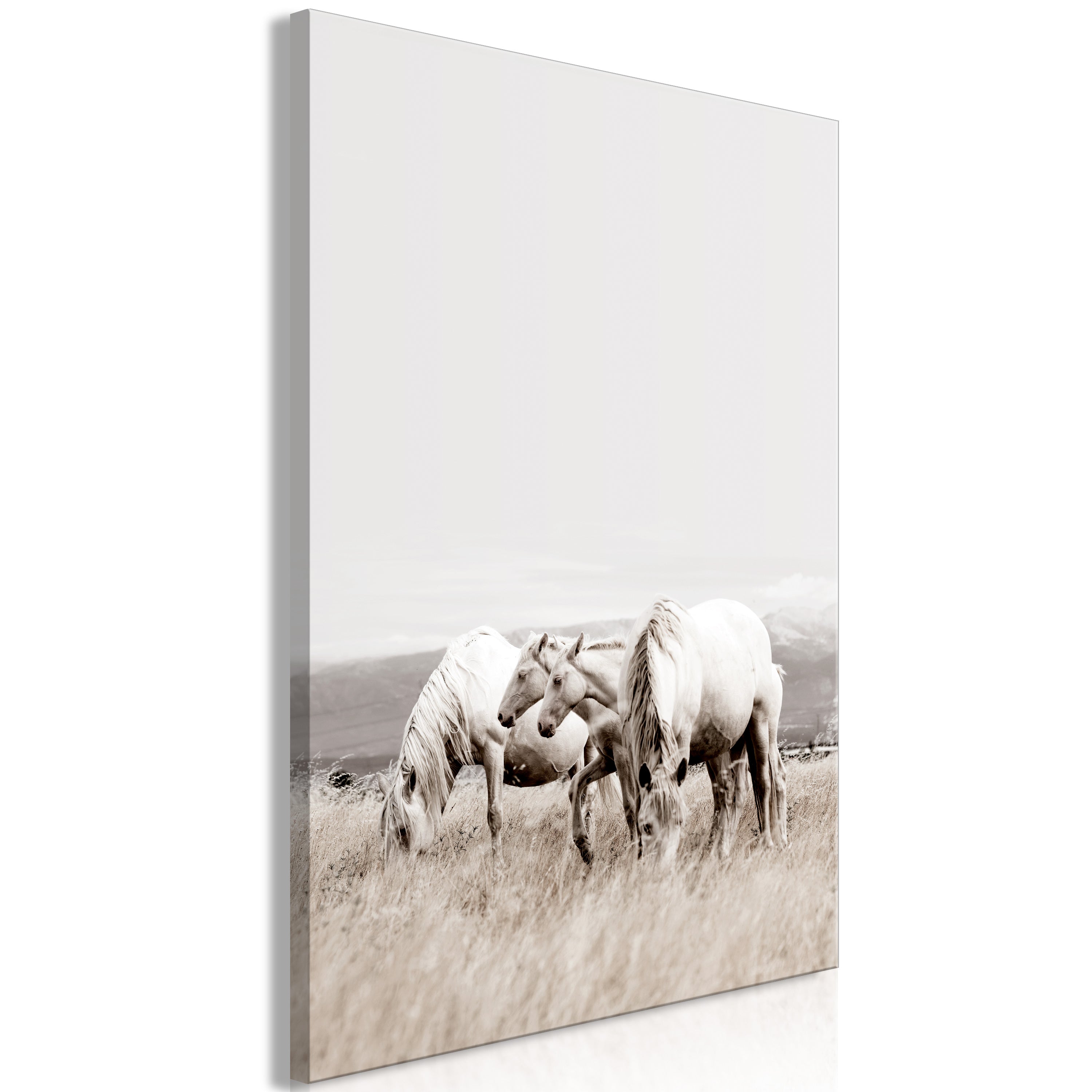 Canvas Print White Horses Vertical