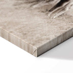 White Horses Nature Canvas Print