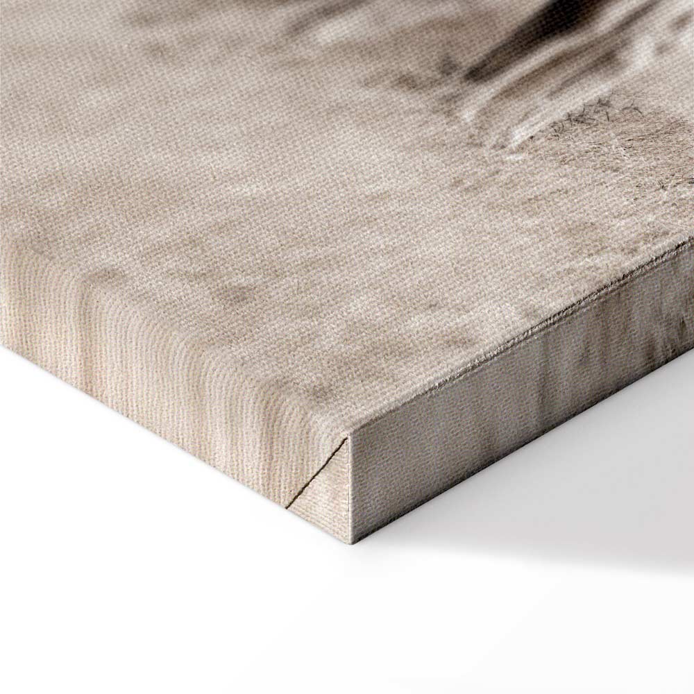 White Horses Nature Canvas Print