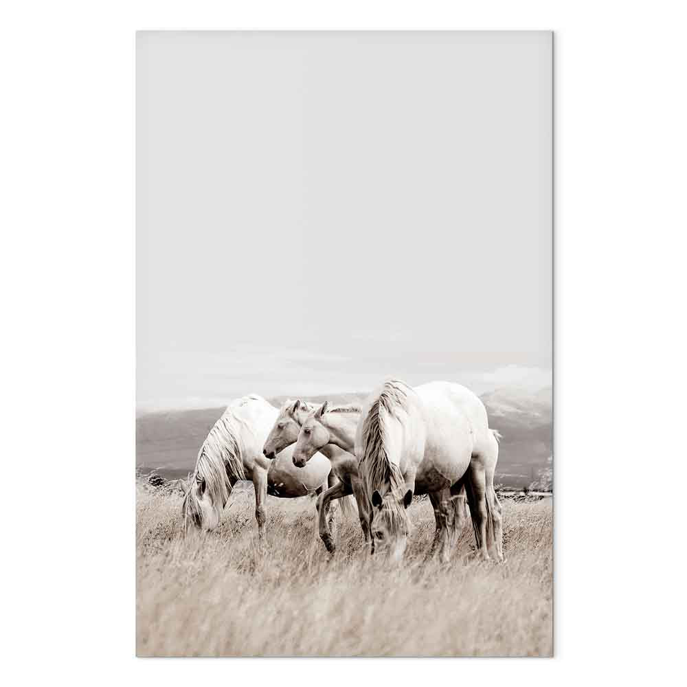 White Horses Nature Canvas Print