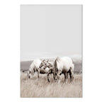 White Horses Nature Canvas Print