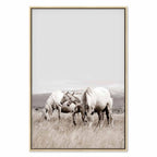 White Horses Nature Canvas Print