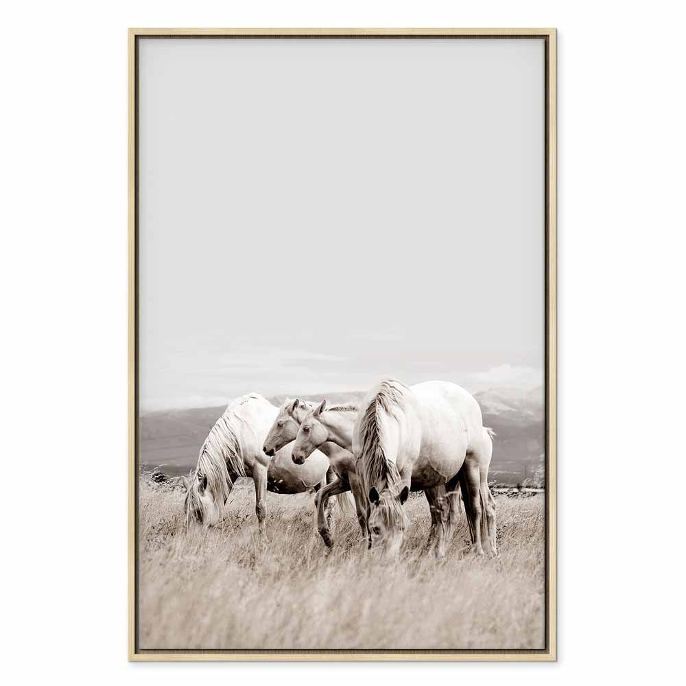 White Horses Nature Canvas Print