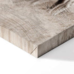 White Horses Nature Canvas Print