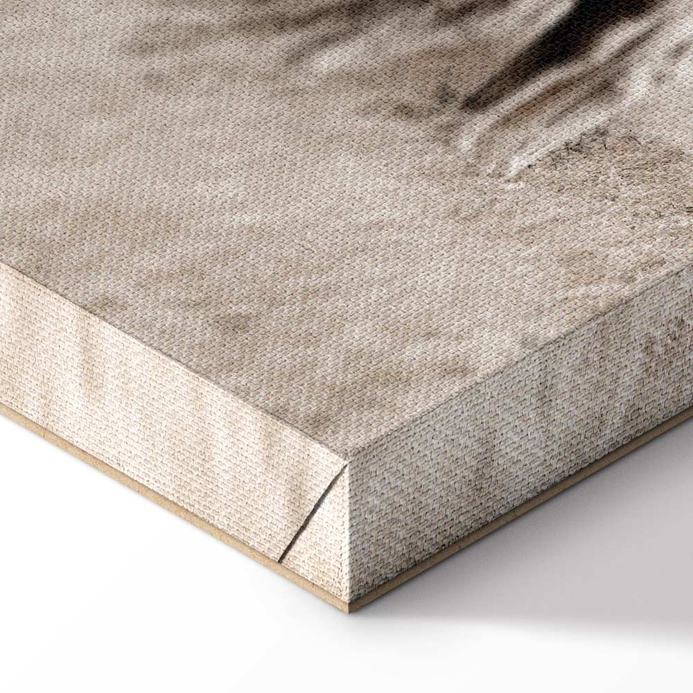 White Horses Nature Canvas Print