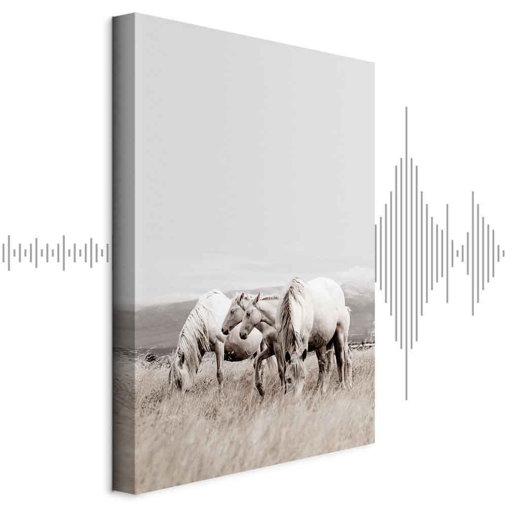 White Horses Nature Canvas Print