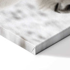 Horse Mane Winter Canvas Print