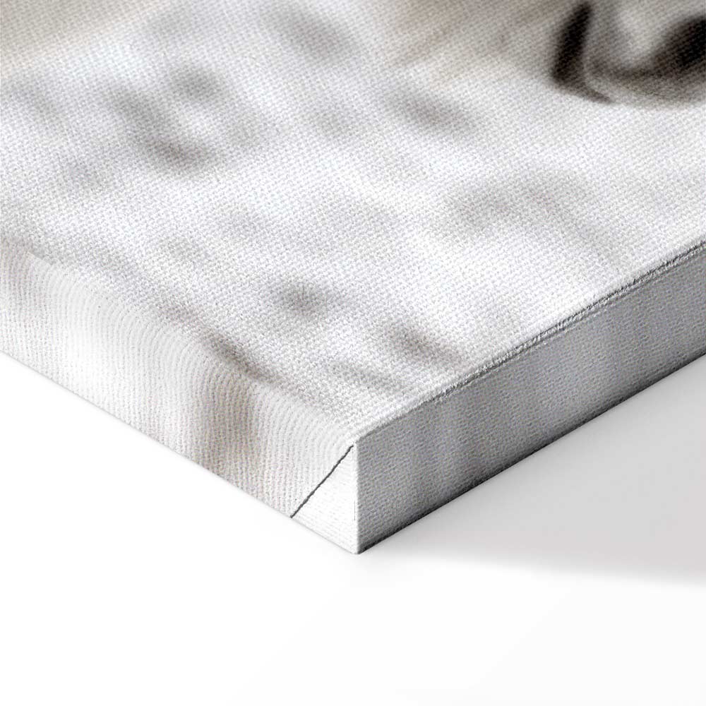 Horse Mane Winter Canvas Print