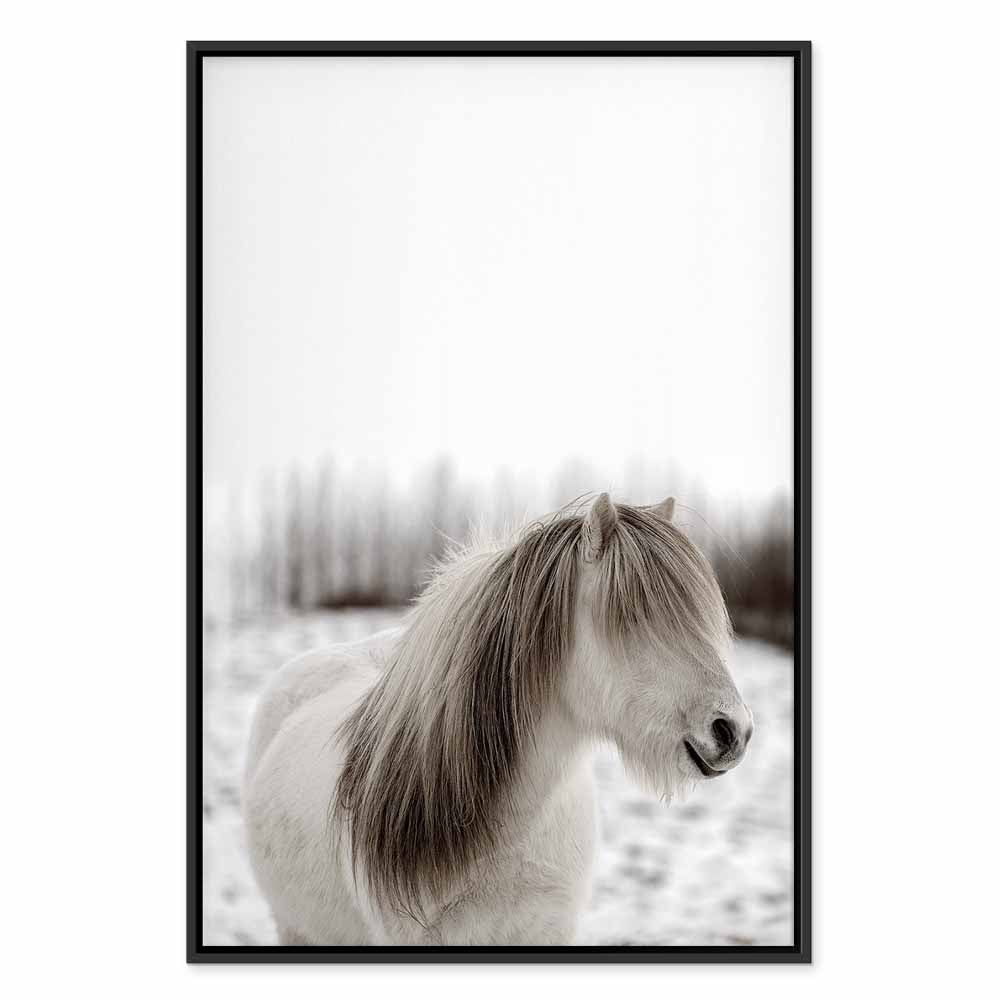 Horse Mane Winter Canvas Print