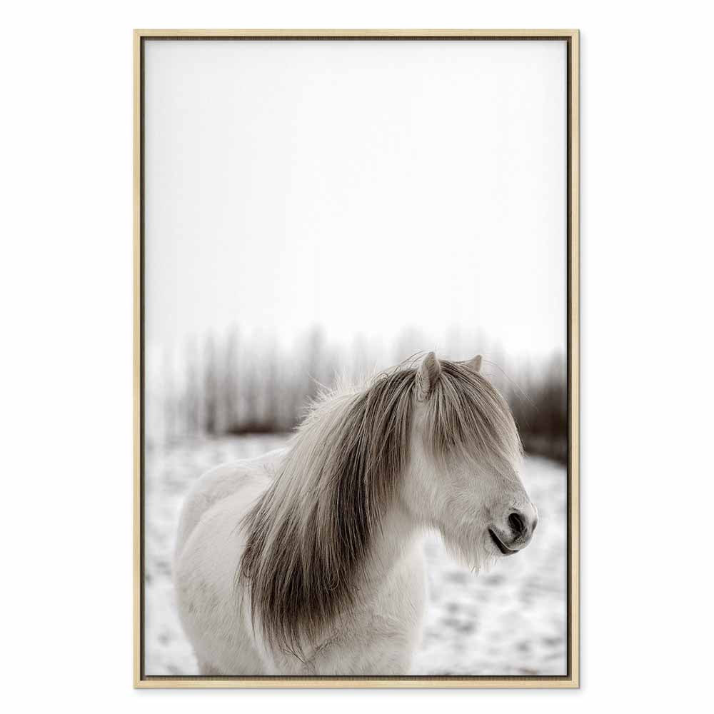 Horse Mane Winter Canvas Print