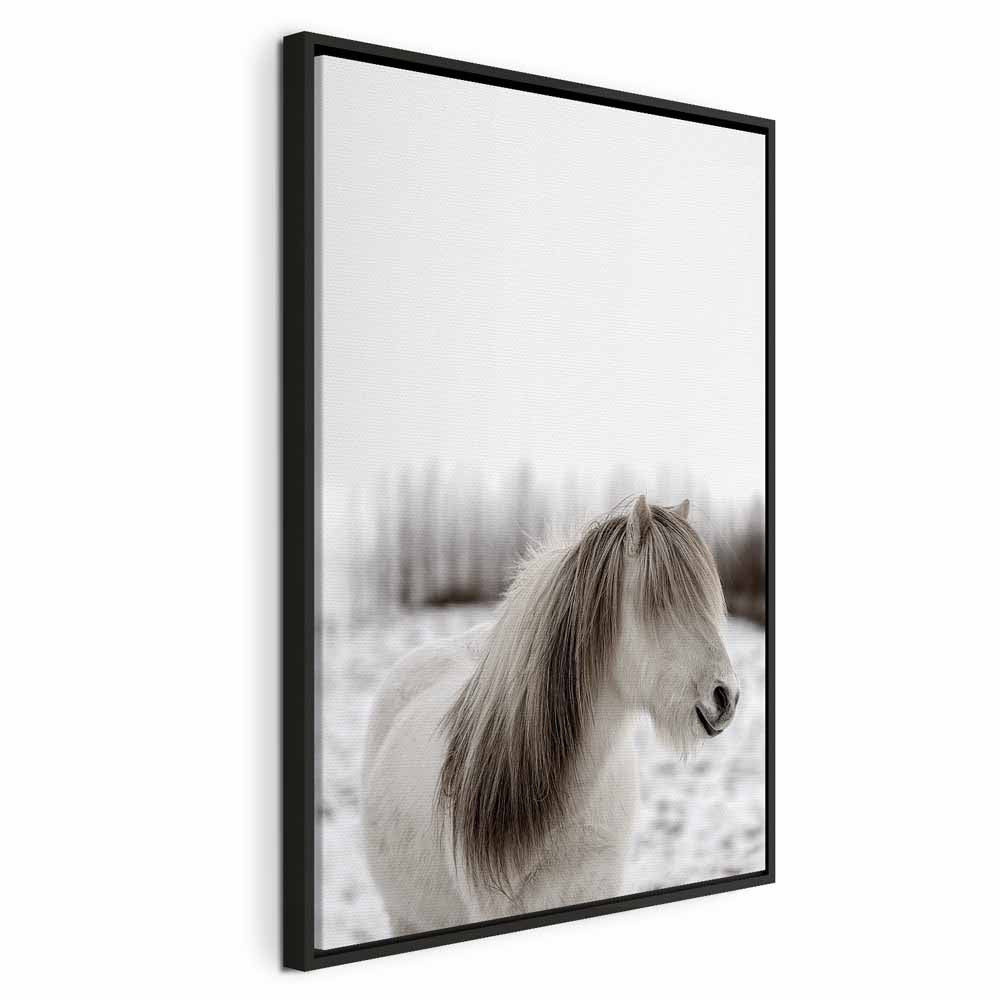 Horse Mane Winter Canvas Print