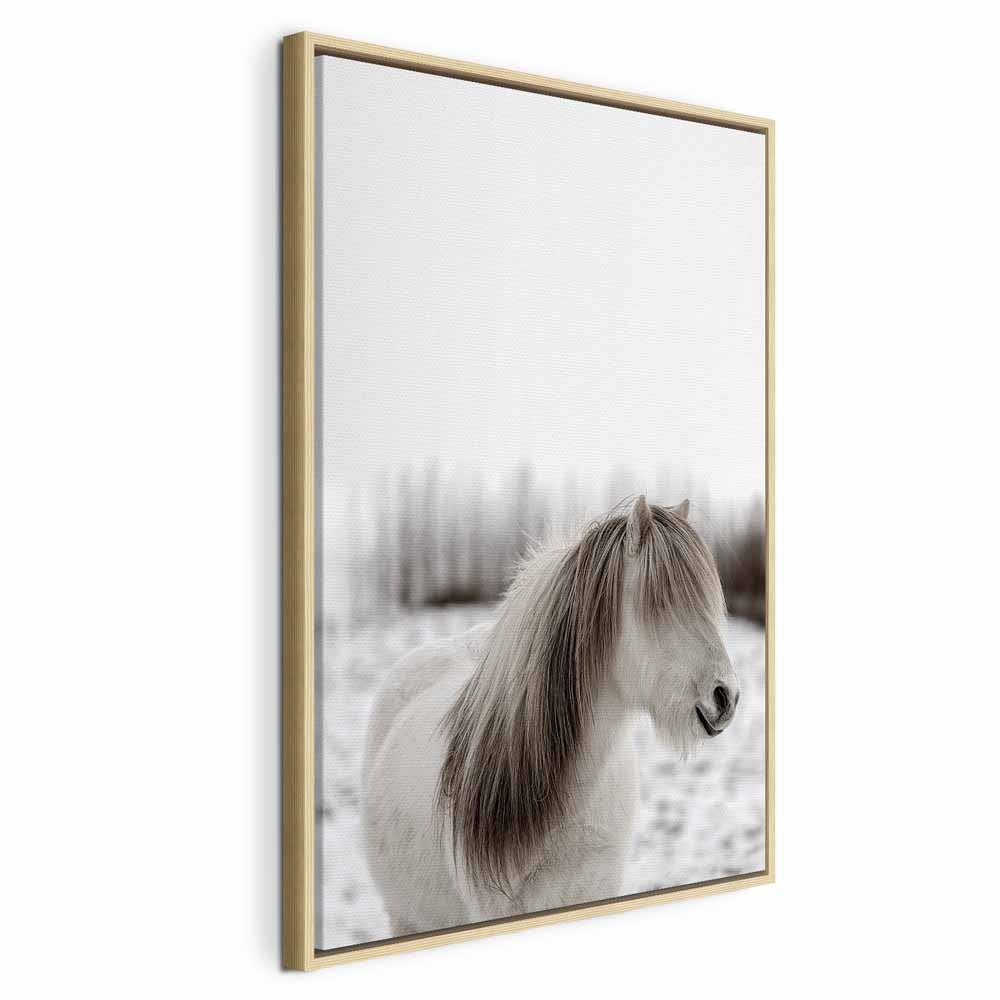 Horse Mane Winter Canvas Print