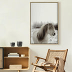 Horse Mane Winter Canvas Print