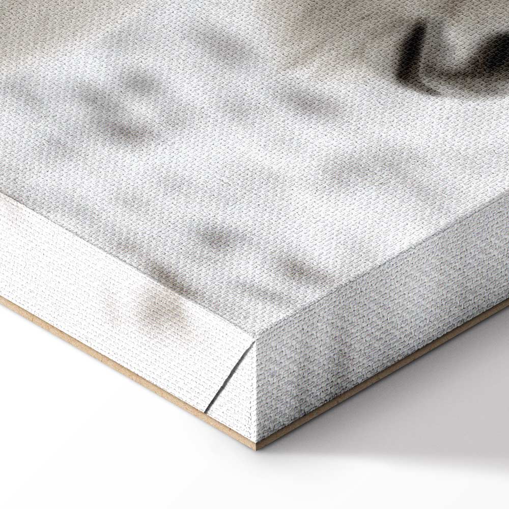 Horse Mane Winter Canvas Print