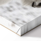 Horse Mane Winter Canvas Print