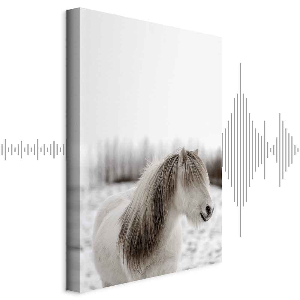 Horse Mane Winter Canvas Print