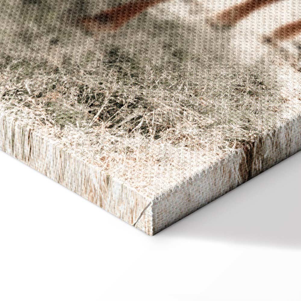 Mother and Calf Cow Animals Canvas Print