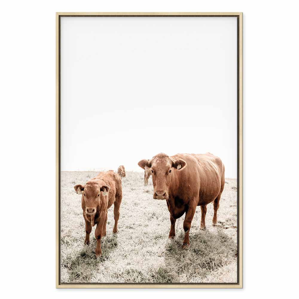 Mother and Calf Cow Animals Canvas Print