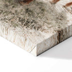 Mother and Calf Cow Animals Canvas Print