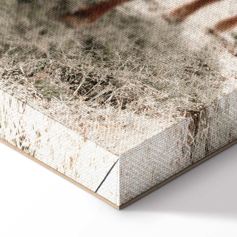 Mother and Calf Cow Animals Canvas Print