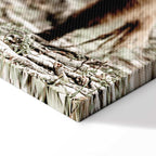 Young Stag Animal Canvas Print