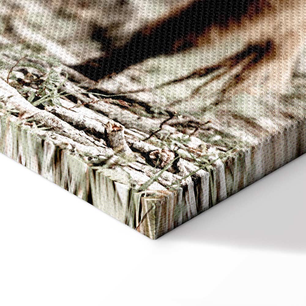 Young Stag Animal Canvas Print