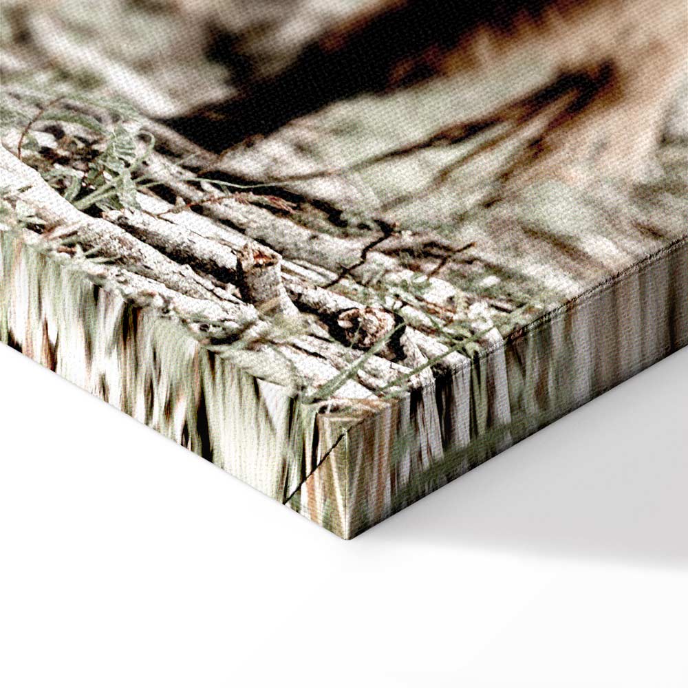 Young Stag Animal Canvas Print