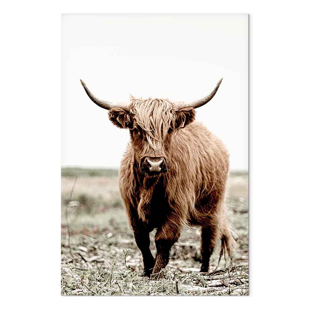 Young Stag Animal Canvas Print
