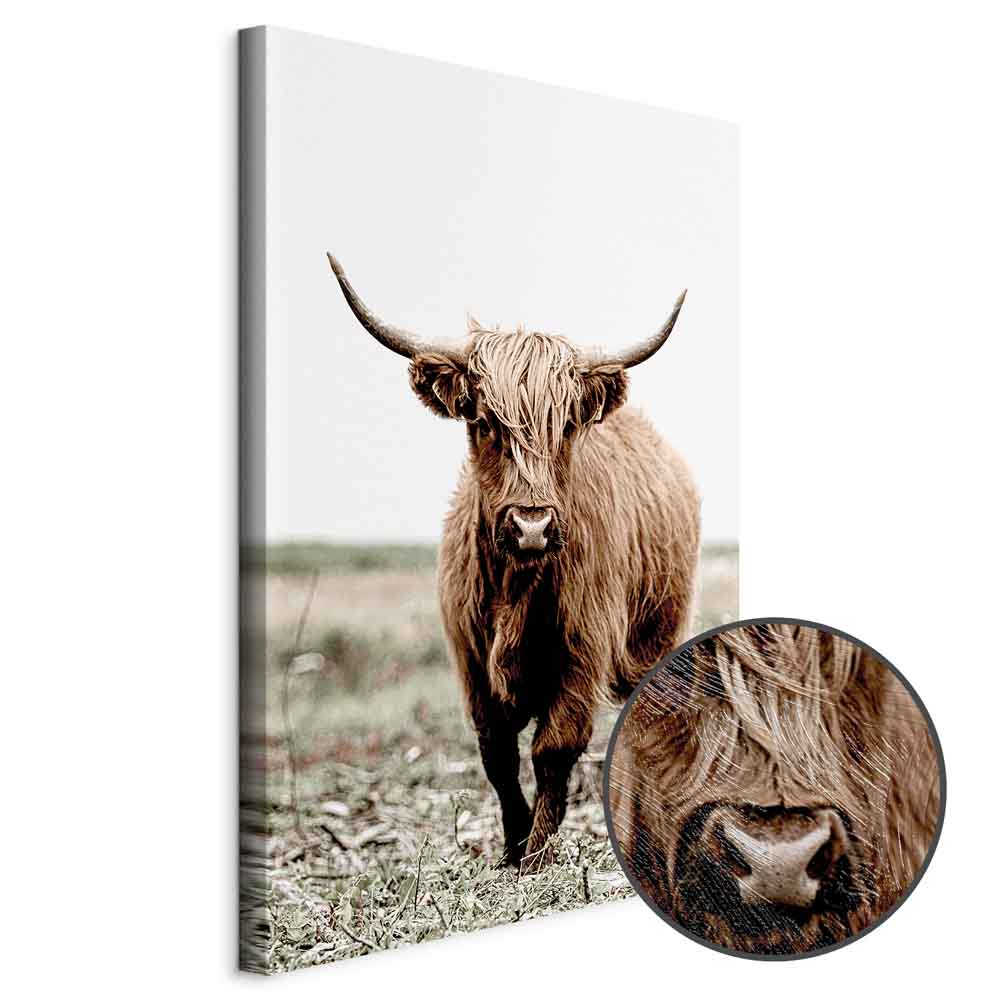 Young Stag Animal Canvas Print