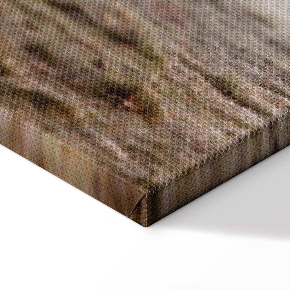 Morning Cows Farm Canvas Print