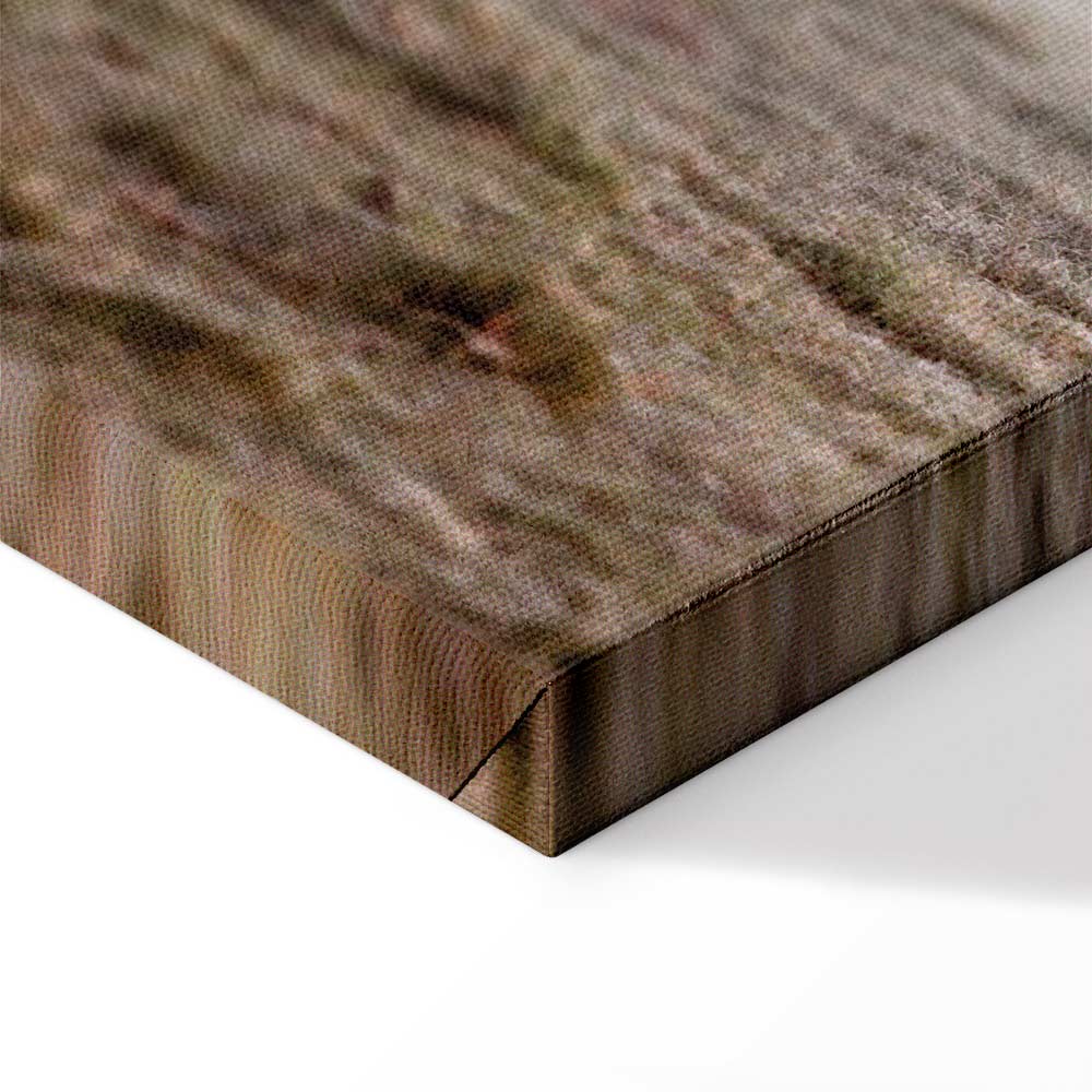 Morning Cows Farm Canvas Print