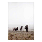 Morning Cows Farm Canvas Print