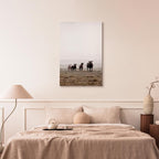 Morning Cows Farm Canvas Print